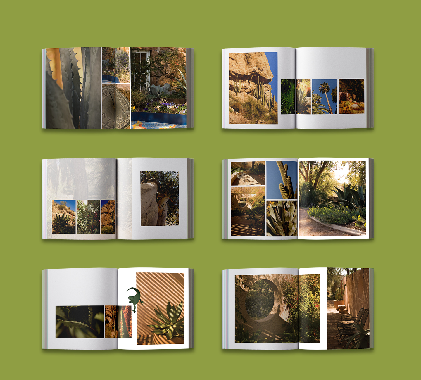 Nel-Pallay-Boyce-Thompson-Arboretum-Photo-Book-Design